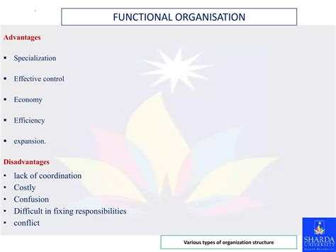 L Types Organization Structure 的图像结果