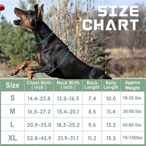 Buy BUMBIN Tactical Dog Harness for Large Medium Small Dogs No Pull ...