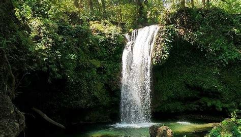 24 Things To Do In Jim Corbett In 2026 | Activities And Places