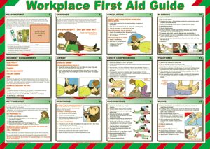 Image result for Workplace First Aid Guide