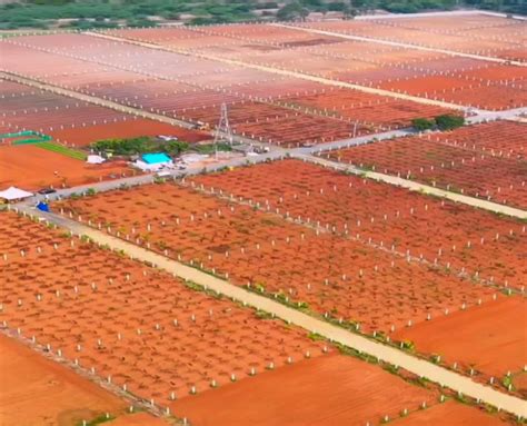 Agricultural/Farm Land for Sale in East Coast Road East Coast Road ...