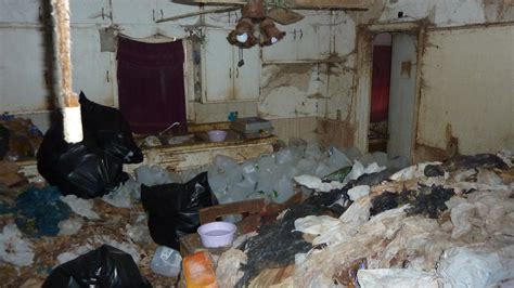 Watch Hoarders Season 3 Online | A&E