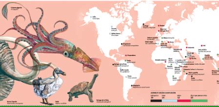 El mundo y sus animales invisibles