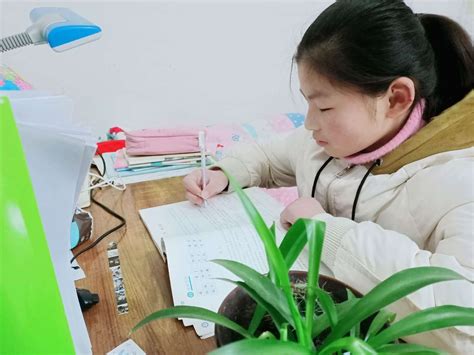 孩子学习帮助父母做家务擦桌子高清图片下载-正版图片500441021-摄图网