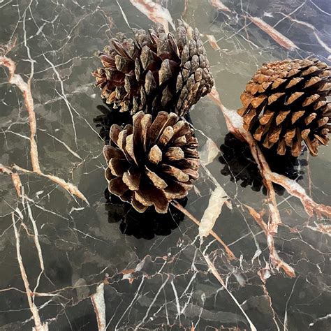 Buy Yew & Tulip Black Marble Pastry and Cutting Board with Natural Vein ...