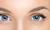 Beauty Full Lash in Englewood Cliffs | Groupon