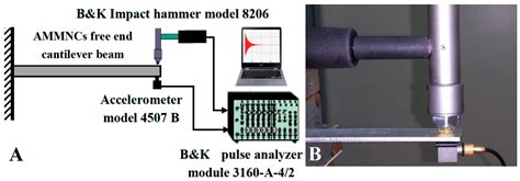 Dynamic Characteristics Study for Surface Composite of AMMNCs Matrix ...