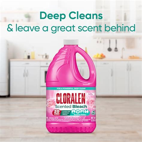 Cloralen 81 Fluid ounce(s) Household Bleach in the Bleach department at ...