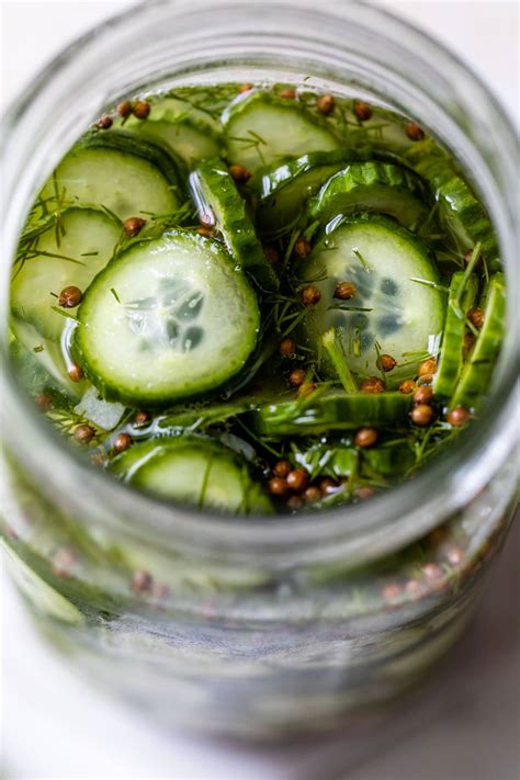Easy Refrigerator Pickle Recipe– WellPlated.com