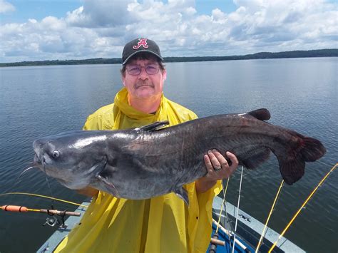 Jug Fishing Tips to Catch More Catfish