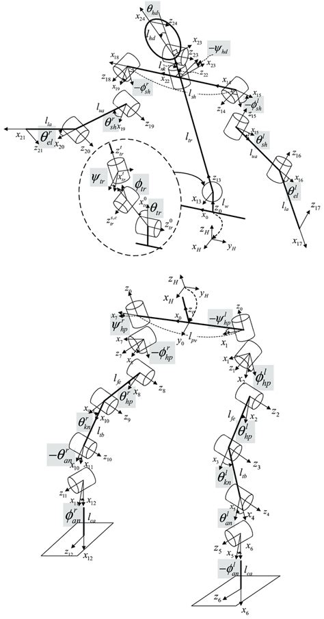 Humanoid Robot Modelling 的图像结果