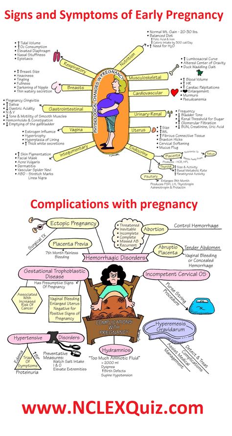 OB Nursing Cheat Sheet: Signs and Symptoms of Pregnancy Maternal Child ...