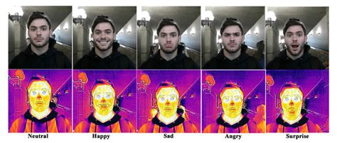 A Multimodal Facial Emotion Recognition Framework through the Fusion of ...