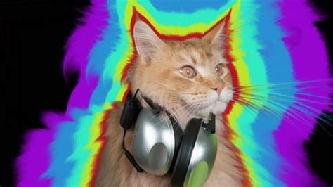 Image result for Cat Generator Control Module