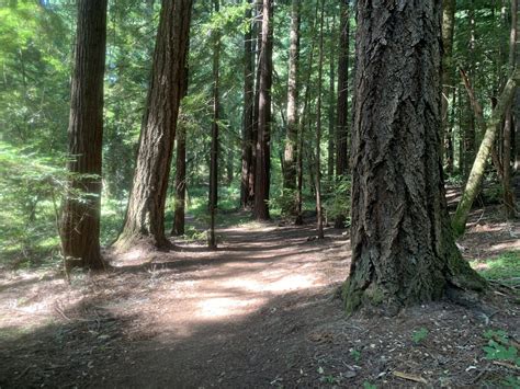 Our Top 7 Picks for Fun Dates with Your Sweetheart | Support Parks in ...