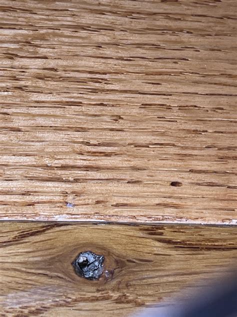 What are these bugs and holes in my hardwood floor? : r/HardWoodFloors