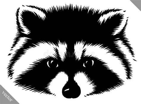Image result for How to Use Jpg Image to Plot Graph in Matplotlib