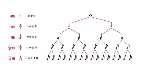Image result for Create Scientific Video with Maxim Library Python