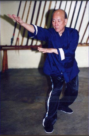 Sam Mestre's Instagram, Twitter & Facebook on IDCrawl