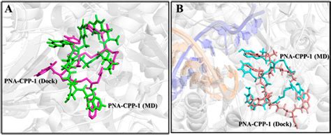 De Novo Potent Peptide Nucleic Acid Antisense Oligomer Inhibitors ...