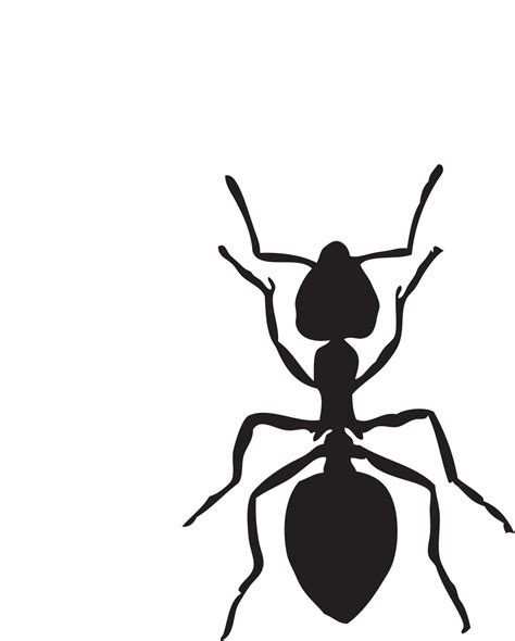 ant clipart - Clip Art Library