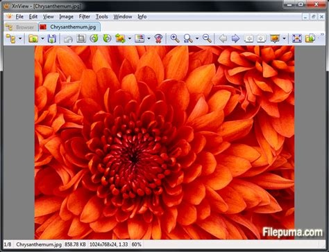 Image result for XnView Heic