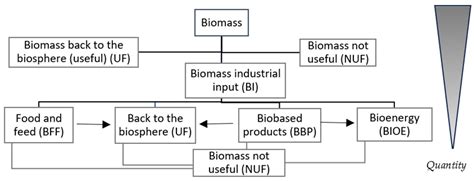 Forest Supply Chain for Bioenergy: An Approach for Biomass Study in the ...