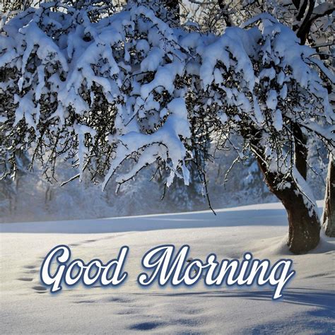 40+ Good Morning Winter Images - Good Morning Pictures