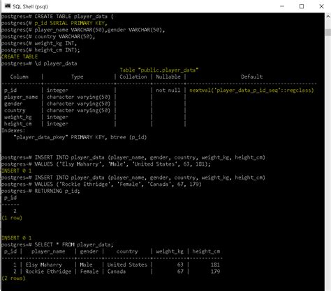 Image result for PostgreSQL Insert into Table