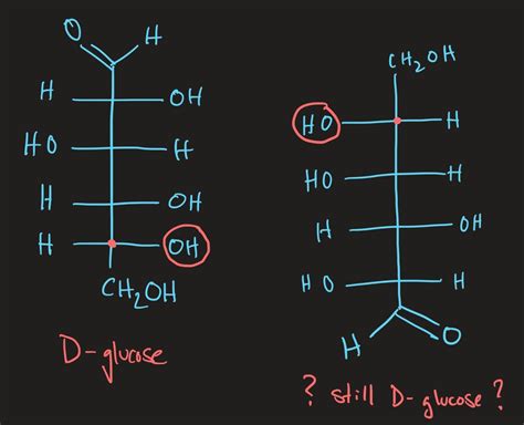 D Glucose Fischer Projection File:Fischer Projection Projection Of