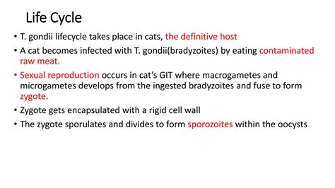 4. Toxoplasmosis the common opportunistic infection | PPTX | Infectious Diseases | Diseases and ...