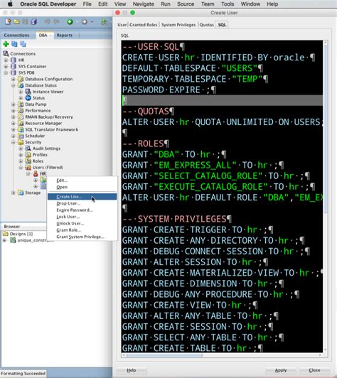 Execute Oracle Script File On SQL Developer 的图像结果