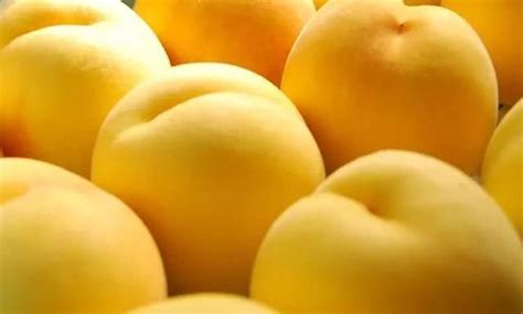 又大又甜的桃子，果实货架期长，每斤贵一元，原因是……