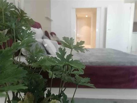 Abu Dhabi Holiday Rentals & Homes - Abu Dhabi, United Arab Emirates ...