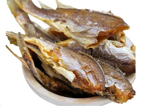 Image result for Fish Exercise Machine