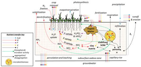 Soil as an Archetype of Complexity: A Systems Approach to Improve ...
