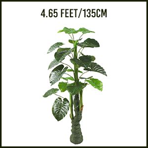 Buy HYPERBOLES Artificial Tree Indoor Money Plant Home Decorative Green ...