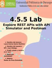 Image result for API Simulator