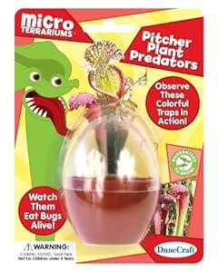 Buy Dunecraft Pitcher Plant Predators Science Kit Online at Low Prices ...