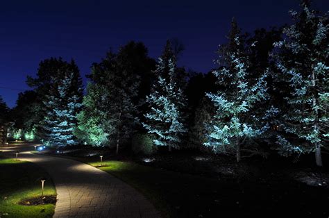 Tree Lighting – Outdoor Lighting in Chicago, IL | Outdoor Accents