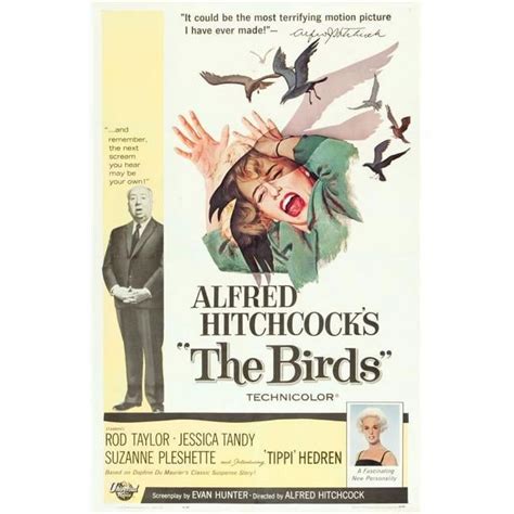 I’M STILL HERE (2024) - Aspen Film