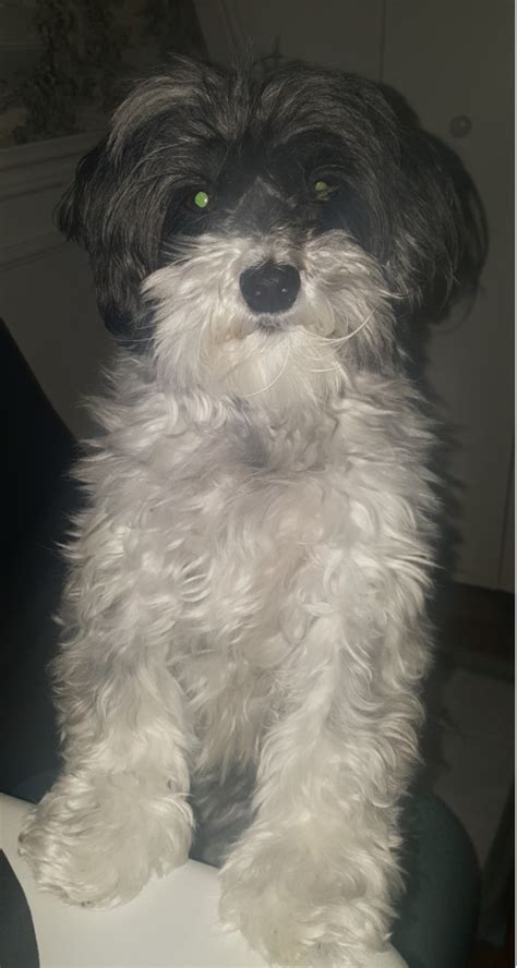 Image result for Code in Power Query