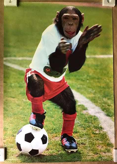 Football Funny 的图像结果