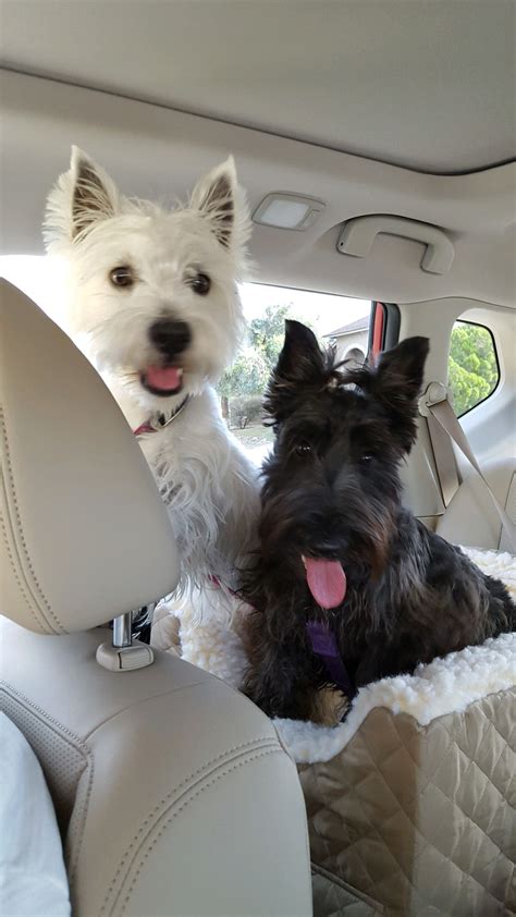 Skin Script Skin Care - Tempe, AZ - Alignable