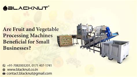 Business Opportunities with Fruit and Vegetable Dehydration Plant in India