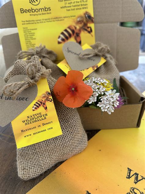 Bee Swarm Simulator Script Pastbien 的图像结果