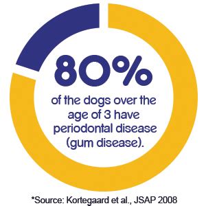 Pedigree Dentastix Advanced Large Breed (25 kg+) Oral Care Dog Treat ...