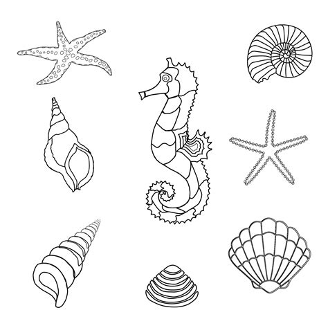 Sea Shell Outline Small