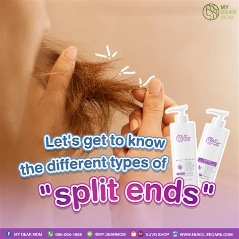Let’s get to know the different types of “split ends” – Nuvo Life Care