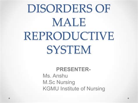 Male Reproductive System Disorders 的图像结果